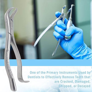 Fórceps de Extracción Dental con Punta de Cuerno de Vaca # Fórceps de Extracción Dental de Acero Inoxidable 16 para Molares Inferiores Primarios y Secundarios de SurgiRight - Product Image 4