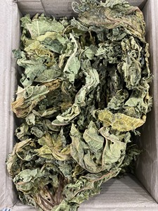 Feuilles de papaye séchées du Vietnam, directement de l'usine, Carica Papaya, matière première en vrac pour sachets de thé en vrac et étiquette personnalisée - Product Image 4