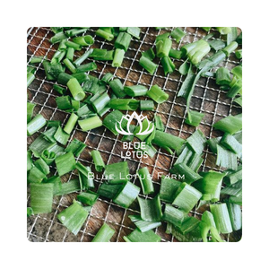 Oignon vert fraîchement séché PREMIUM produit de qualité supérieure pour les sauces d'assaisonnement, les soupes et les plats traditionnels - Product Image 1