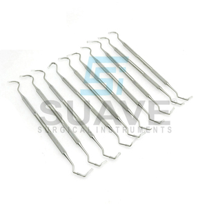 Herramienta Dental de acero inoxidable de 10 piezas, juego de sonda exploradora de higiene para limpieza de dientes de dentista por INSTRUMENTOS SUAVE - Product Image 1