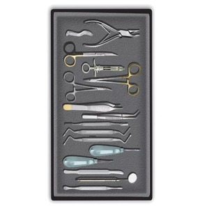 16 PCS ORAL DENTAL SURGICAL EXTRACTION SURGERY <b>ELEVATORS</b> FORCEPS INSTRUMENTS KIT - Product Image 2