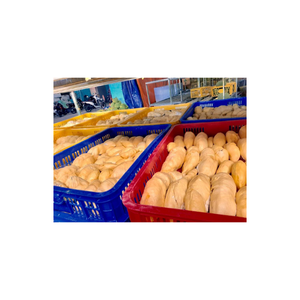 กลุ่มทุเรียนแช่แข็งจากเวียดนามแปรรูปด้วย iqf เพื่อรักษารสชาติสดและส่งออกสารอาหาร - Product Image 5