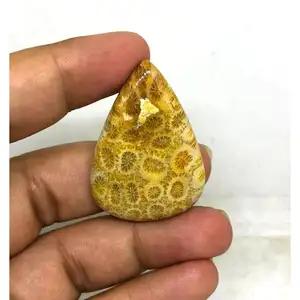 100% piedras preciosas de cabujón de Coral fosilizado Natural producto al por mayor 41X29X6 material de la mejor calidad que hace piedras preciosas sueltas 54 Ctr