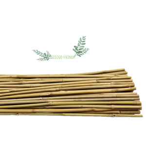 Bâton de bambou brut et naturel 100%, support de fleur/bâton de bambou pour bâton d'encens fabriqué au Vietnam pour l'agriculture - Product Image 1