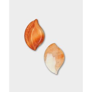 Cuentas de Concha de Ostra Espinosa - Cuentas Naturales de Coral y Hueso - Product Image 1
