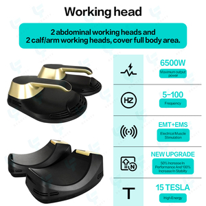 Appareil EMSzero NEO pour usage en salon, amélioration musculaire, 15 <span class=keywords><strong>Tesla</strong></span>, 6500W, récupération des muscles du plancher pelvien, machine de sculpture musculaire EMS - Product Image 3