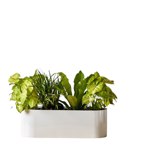 Jarrón de Flores con Diseño de Barco para Decoración Navideña, Centro de Mesa para Bodas, Jarrón y Maceta Elegante para Flores en Venta - Product Image 1