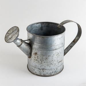 Arrosoir galvanisé à long col avec versement de précision et finition de style antique pour les amateurs de jardin domestique - Product Image 1