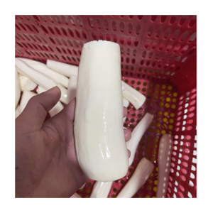 Yuca amarilla al vapor congelada IQF Premium, envasada al vacío para frescura, lista para exportación y procesamiento global de alimentos - Product Image 2