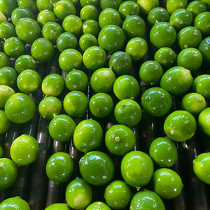 Cítricos frescos cultivados en Vietnam sin semillas y diseñados para un Futuro global - Product Image 1