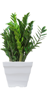 Factory wholesale Durable <b>Greenhouse</b> <b>plastic</b> Nursery Grow Pots - Hydrangea Pot - Product Image 3