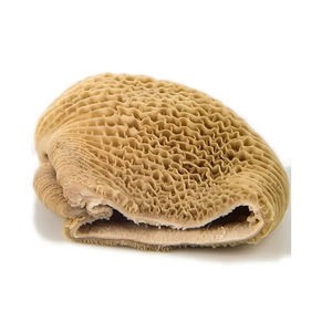 Venta al por mayor de carne orgánica Omasum Frozen Bulk Body Part Proveedores del Reino Unido-Ingredientes naturales de alta proteína - Product Image 3