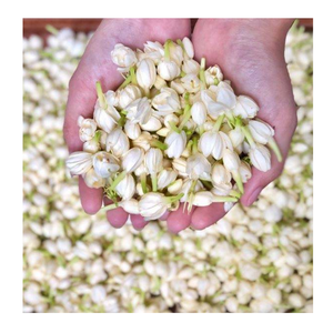 Bourgeons de jasmin fleurs décoration de mariage fête faveur Festival décoration décor à la maison matières premières du Vietnam - Product Image 2