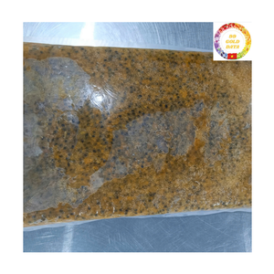 Pulpe de fruit de la passion congelée avec des graines, Vietnam, couleur dorée fraîche, parfaite pour les smoothies, les jus, les desserts et la production alimentaire mondiale - Product Image 2