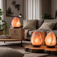 Lampe de sel de l'Himalaya naturelle certifiée GMP, 2-3 kg, écologique, faite à la main, avec cordon électrique, ampoule en forme de fleur, Feng Shui, animal, ange, décoration intérieure