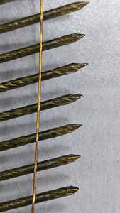 Đinh cuộn chất lượng cao, xuất xưởng trực tiếp, đầu dẹt 15 độ, đóng cuộn, đinh đóng khung 2 1/4 inch - Product Image 4