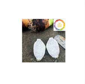 Cubes de taro congelés IQF de haute qualité du Vietnam-pelés, coupés et emballés pour l'exportation, fournisseur certifié HACCP et ISO - Product Image 5