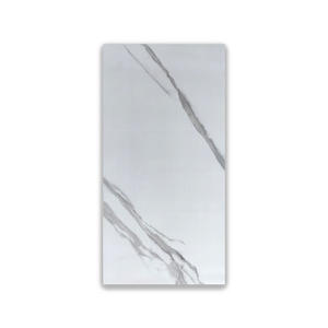 Azulejos de Porcelana Pulidos y Esmaltados de 60×120 cm, Azulejos de Calidad Internacional para Pisos Residenciales y Comerciales - Product Image 1