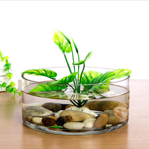 VCY1206 - <b>Clear</b> Cylinder Glass <b>Vase</b> - 12 x 6 - Product Image 6