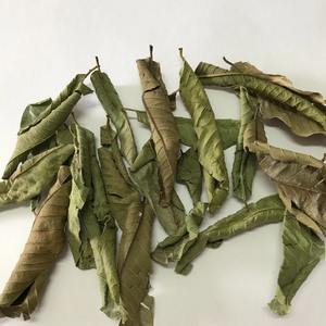 El precio más bajo de hojas de guayaba a granel, hojas de guayaba naturales para hacer bebidas de té de hierbas - Product Image 3
