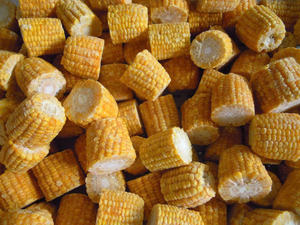 Bon marché Délicieux fabriqué au Vietnam Norme internationale CONGELÉ LE MAÏS SUCRÉ SUR ÉPI 1kg - Product Image 5