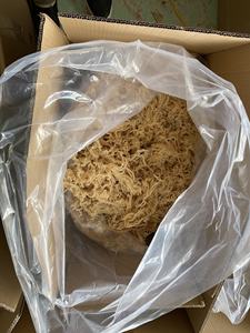 Eucheuma cottonii มอสจากทะเลผงโนริสาหร่ายทะเลสดและแห้งผลิตจากเวียดนาม - Product Image 4