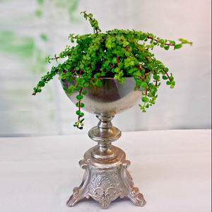 Macetas galvanizadas de calidad superior, proveedores de macetas y jarrones de metal modernos, jarrón de maceta de hierro personalizado - Product Image 2