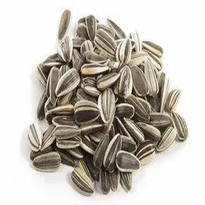 Premium Factory Supplier Wholesale Sunflower Seed 361 Sunflower Seeds Fresh Sunflower Seeds