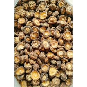 Tranches et champignons entiers de shiitake séchés pour la préparation de bouillons, de plats sautés et de repas prêts à consommer – Vietnam - Product Image 1
