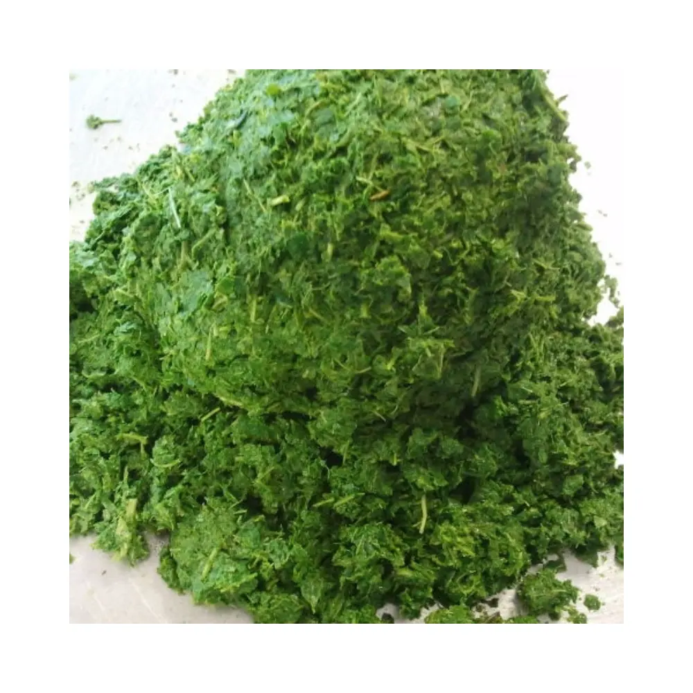 Wholesale High in protein Cassava plant 100% FRESH CASSAVA LEAF FOR FOOD INDUSTRY best price for Export in Vietnam