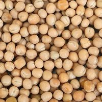 Pois Blancs Premium en Gros – Haute Qualité, Séchés, Non-OGM, Stockage Longue Durée, Emballés pour la Vente en Gros – Produit Naturel Sain