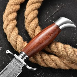 El mejor diseño de acero de Damasco, cuchillo Skiner de 9 pulgadas, cuchillo de caza de hoja de nuevo diseño, acero de Damasco de alta calidad - Product Image 4
