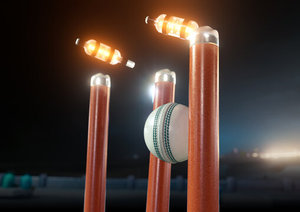 Poteaux de cricket professionnels en bois avec ressorts, fabriqués sur mesure, de qualité supérieure, conformes aux normes internationales. - Product Image 2