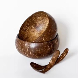 Cuenco de cáscara de coco más barato y más nuevo, cuencos de coco naturales, cucharas, producto de Vietnam - Product Image 3