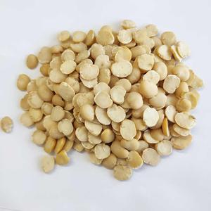 Faba de Fava seca de alta calidad 40-50 / 50-60 / 60-70 / 70-80 / 80-90 / 90-110 uds/100g habas para conservas o frijoles fritos - Product Image 3