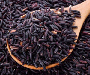 Premium Quality Chef Choice Black Glutinous Rice Long <b>Grain</b> Good for Health Naturally Grown 5Kg 10Kg 25Kg 50Kg Export Wholesales - Product Image 3