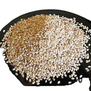 High Quality White Hulled Sesame Seeds for sale