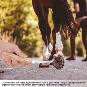 Cuchillo Profesional Veterinario para Pezuñas, Recortador de Pezuñas, Instrumento Veterinario, Cuchillo para Pezuñas con Hoja de Acero Inoxidable y Mango de Madera de LCI - Product Image 6