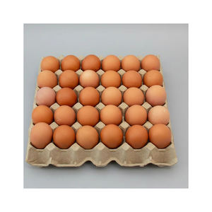 Huevos frescos naturales de alta calidad, suministro al por mayor, precio de fábrica de huevos de aves de corral. - Product Image 2