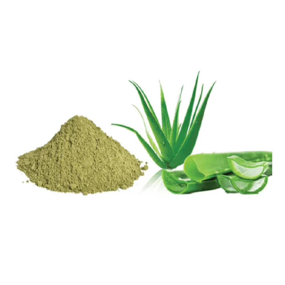 El Mejor Precio de polvo de hojas de Aloe Vera Venta caliente Extracto de hoja de Aloe Vera en venta