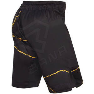 Haute Qualité Martial Personnalisé Hommes Shorts Combat Shorts MMA Compétition Formation Arts Martiaux Porter MMA Court - Product Image 4