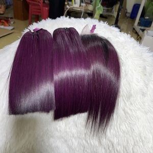 Extensions de cheveux vierges vietnamiennes Remy, lisses, couleur violet, mèches doubles, cheveux humains, cheveux bruts - Product Image 1