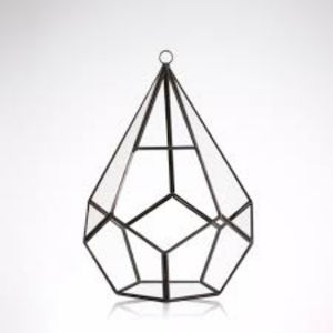 Terrario de cristal elegante o jarrones de cristal de forma geométrica para plantas en tamaños personalizados y diseño para la decoración de la sala de estar - Product Image 6