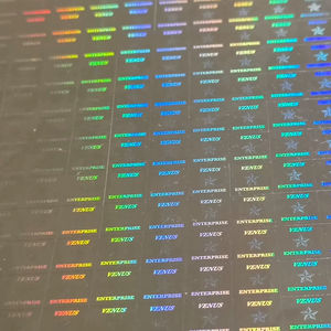 Etiqueta de Seguridad Ovalada Plateada Personalizable con Holograma, Anti-Falsificación, a Prueba de Manipulación e Impermeable - Etiqueta Digitech - Product Image 1