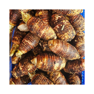 Venta al por mayor de Taro amarillo congelado natural para distribuidores, supermercados y mercados internacionales - Product Image 1