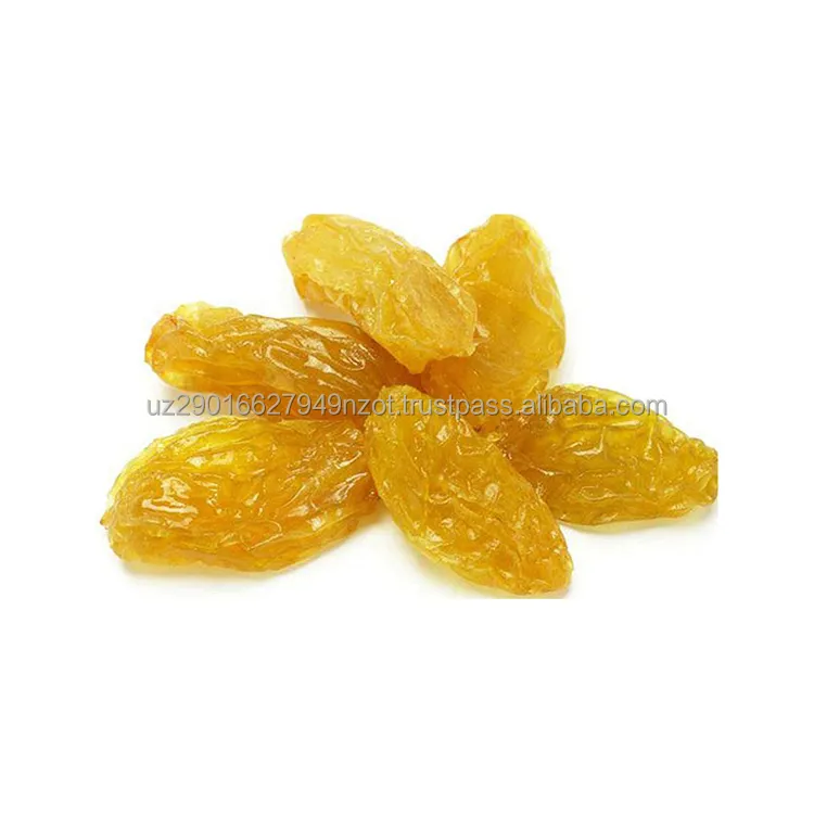 Golden seedless raisins from Uzbekistan all natural product good quality from manufacturer hot sale dried fruits and nuts