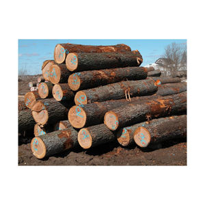 Leña secada al horno de alta calidad, madera mixta de haya y roble, Material de cambio de fase, tronco de haya a la venta - Product Image 6