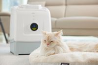 [AbsFur] Unité de soins multi-animaux 3 en 1, sèche-cheveux pour animaux de compagnie, cabine de toilettage, circulation d'air chaud, système de séchage rapide, produit de toilettage à domicile