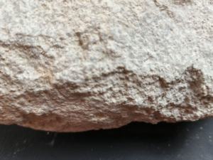 Notre agent technique améliore le traitement des polymères biodégradables, améliorant le flux et réduisant la viscosité de fusion. - Product Image 2