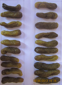 Prix de gros Sauce chili épicée Choix multiples pour nouilles Vente chaude dans un restaurant Supermarché-Quoi, sapp 0084 989 322 607 - Product Image 4